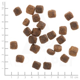 WOLFSBLUT Wide Plain Senior Konina i Bataty 12,5kg - Zdjęcie nr 4