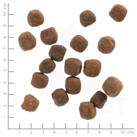 WOLFSBLUT Wild Duck Adult Kaczka i Ziemniaki 12,5kg - Zdjęcie nr 4