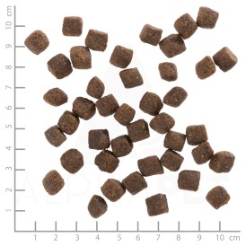 WOLFSBLUT Black Bird Puppy Indyk i Bataty 2kg - Zdjęcie nr 3