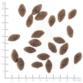 WOLFSBLUT Alaska Salmon Adult Łosoś i Ryż 12,5kg - Zdjęcie nr 4