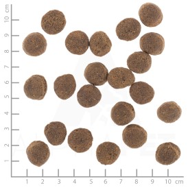 WOLFSBLUT VetLine Gastrointestinal Kaczka i Bataty 2kg - Zdjęcie nr 4