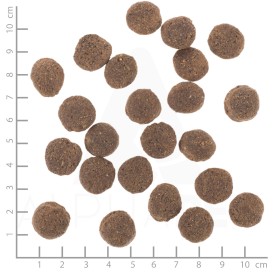 WOLFSBLUT VetLine Hypoallergenic Konina i Bataty 2kg - Zdjęcie nr 4