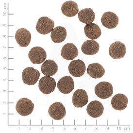 WOLFSBLUT VetLine Hypoallergenic Konina i Bataty 12kg - Zdjęcie nr 4