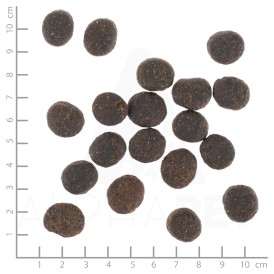 WOLFSBLUT VetLine Joint Care Indyk i Bataty 12kg - Zdjęcie nr 4