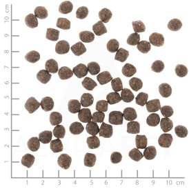 WOLFSBLUT Range Lamb Adult Small Breed Jagnięcina i Ryż 2kg - Zdjęcie nr 2