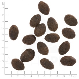 WOLFSBLUT Wild Pacific Adult Ryby z Ziemniakami 12,5kg - Zdjęcie nr 4