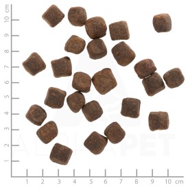 WOLFSBLUT Dark Forest Adult Dziczyzna i Bataty 2kg - Zdjęcie nr 4