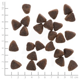 WOLFSBLUT Jack Rabbit Adult Królik i Ziemniaki 2kg - Zdjęcie nr 4