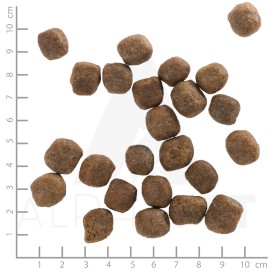 WOLFSBLUT Cold River Adult Pstrąg i Bataty 12,5kg - Zdjęcie nr 4