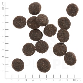 WOLFSBLUT Blue Mountain Adult Dziczyzna i Ziemniaki 2kg - Zdjęcie nr 4