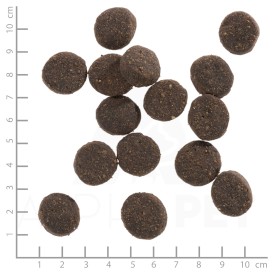 WOLFSBLUT Blue Mountain Adult Dziczyzna i Ziemniaki 12,5kg - Zdjęcie nr 4