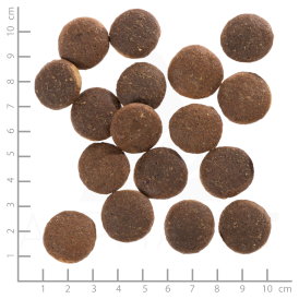 WOLFSBLUT Red Rock Adult Kangur i Bataty 2kg - Zdjęcie nr 4