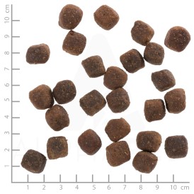 WOLFSBLUT Deep Glade Adult Jeleń Bawół i Bataty 12,5kg - Zdjęcie nr 3