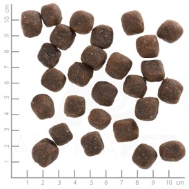WOLFSBLUT Grey Peak Adult Kozina i Bataty 2kg - Zdjęcie nr 4
