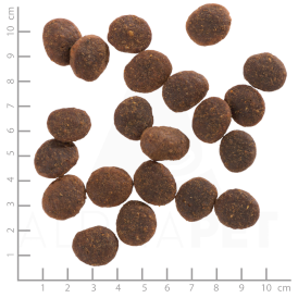 WOLFSBLUT Black Marsh Adult Bawół i Bataty 12,5kg - Zdjęcie nr 4