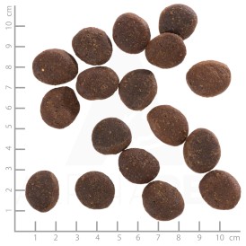 WOLFSBLUT Polar Night Adult Renifer i Bataty 2kg - Zdjęcie nr 4