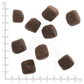 WOLFSBLUT Squashies Black Marsh Adult Bawół i Bataty 300g - Zdjęcie nr 3
