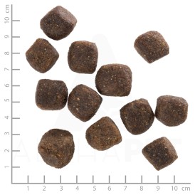 WOLFSBLUT Squashies Polar Night Adult Renifer i Bataty 300g - Zdjęcie nr 3