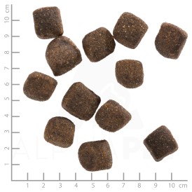 WOLFSBLUT Squashies Wide Plain Adult Konina i Bataty 300g - Zdjęcie nr 3