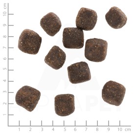 WOLFSBLUT Squashies Wild Duck Adult Kaczka i Bataty 300g - Zdjęcie nr 3