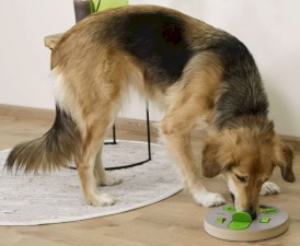 KERBL Face Zabawka edukacyjna dla psa - Zdjęcie nr 2