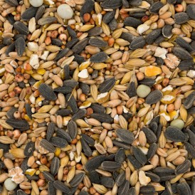 GARDER FUN Karma Ekonomik 4 Pory Roku dla ptaków wolnożyjących 1kg - Zdjęcie nr 2