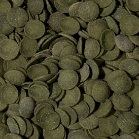 TROPICAL Green Algae Wafers 1 L / 450g - Zdjęcie nr 2