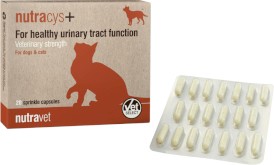 NUTRAVET NutraCys+ na drogi moczowe dla psów i kotów 20tab - Zdjęcie główne