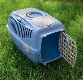 STEFANPLAST Gulliver 1 Transporter niebieski 48cm - Zdjęcie nr 8