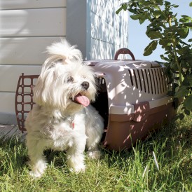 STEFANPLAST Gulliver 1 Transporter niebieski-brąz 48cm - Zdjęcie nr 5