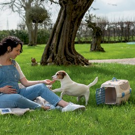 STEFANPLAST Gulliver 1 Transporter szary 48cm - Zdjęcie nr 4