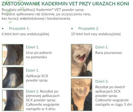 BIOWET Kadermin Vet Krem na rany 50ml - Zdjęcie nr 2