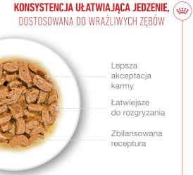 ROYAL CANIN Ageing 15+ w sosie 85g - Zdjęcie nr 6