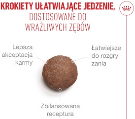 ROYAL CANIN Ageing 15+ Senior 2kg - Zdjęcie nr 6