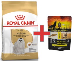 ROYAL CANIN Maltese Maltańczyk Adult 1,5kg + 100g Karmy SuperPremium GRATIS !! - Zdjęcie główne