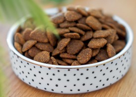 GLEE Cat Food Drink Bowl Dots Miska ceramiczna Biała 300ml - Zdjęcie nr 2