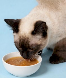 EGEO Cat Drink Urinary Health Napój Łosoś w sosie dla kota Puszka 135g - Zdjęcie nr 2