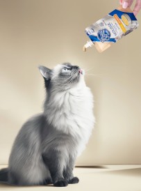 EGEO Cat Mousse Sterilised Urinary Support Mus Tuńczyk z Żurawiną dla kota 100g - Zdjęcie nr 2