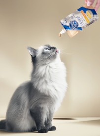 EGEO Cat Mousse Sterilised Urinary Support Mus Kurczak z Żurawiną dla kota 100g - Zdjęcie nr 2