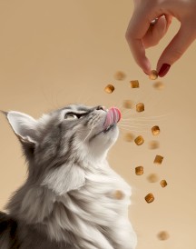 EGEO Cat Soft Bite Sterilised Urinary Support Kąski Kurczaka z Tuńczykiem dla kota 3szt. - Zdjęcie nr 4