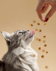 EGEO Cat Soft Bite Sterilised Urinary Support Kąski Kurczaka z Łososiem dla kota 3szt. - Zdjęcie nr 4