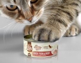 PERFECT PET FISI Cat Adult Pure Meat Chunk Karmazyn Wołowina dla kota 170g - Zdjęcie nr 2