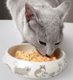 GLEE Cat Food Drink Bowl Naughty Grey Miska ceramiczna Szara S 250ml - Zdjęcie nr 2