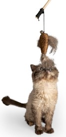 GLEE For Cats Naturals wędka z jutowym ptaszkiem i piórkami dla kota