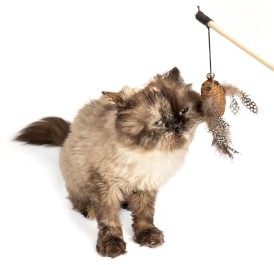 GLEE For Cats Naturals wędka z jutowym ptaszkiem i piórkami dla kota