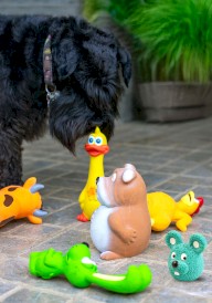 GLEE Dog Toy Latex Pet Funny z Piszczałką dla Psa 7cm - Zdjęcie nr 6
