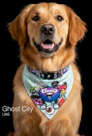 GLEE Platinum Ghost City Smycz dla psa XS - Zdjęcie nr 4