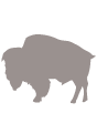 Karma ORIJEN - Mięso z bizona